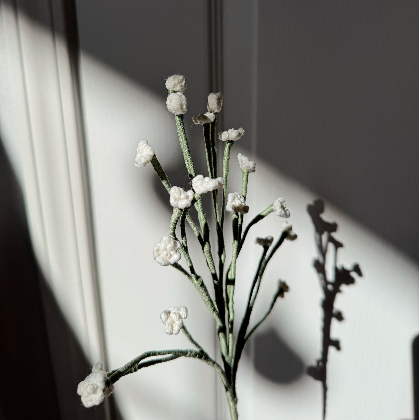 GYPSOPHILA