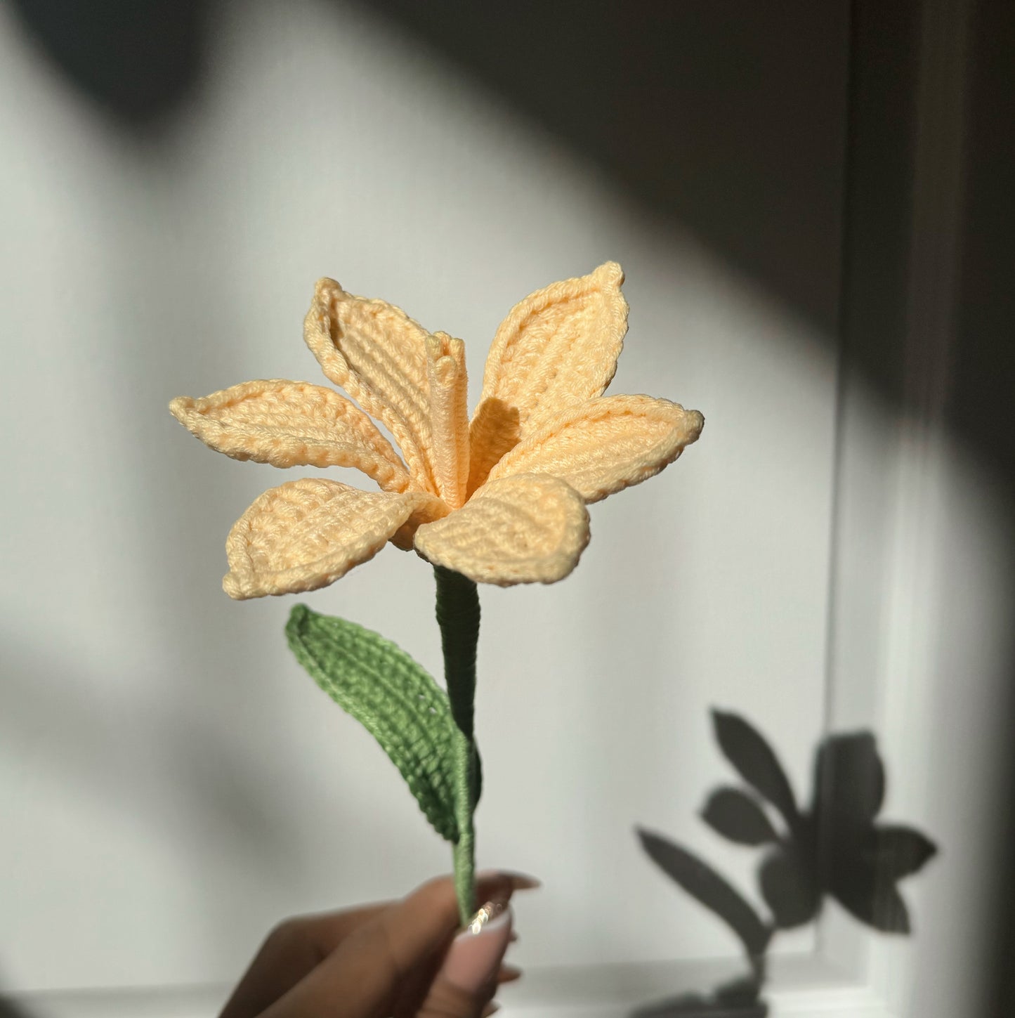 Yellow Daylily