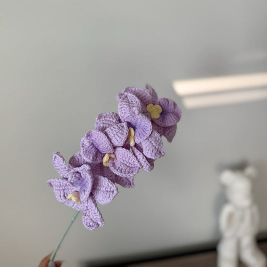 Purple Orchid