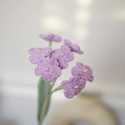LAVENDER FORGET ME NOTS