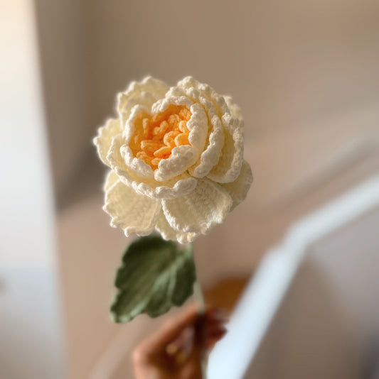 New White Peony