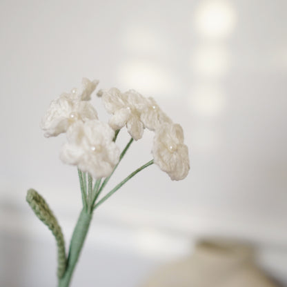 WHITE FORGET ME NOTS