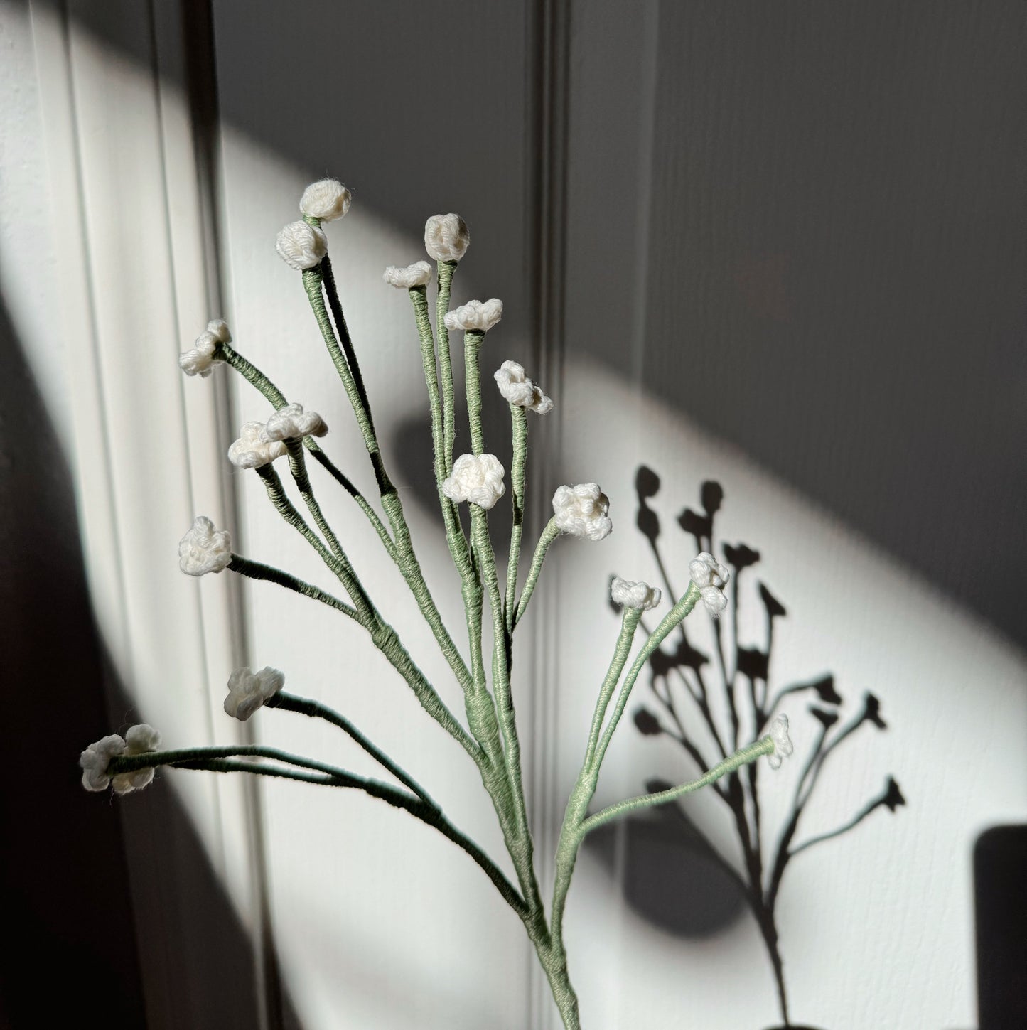 GYPSOPHILA