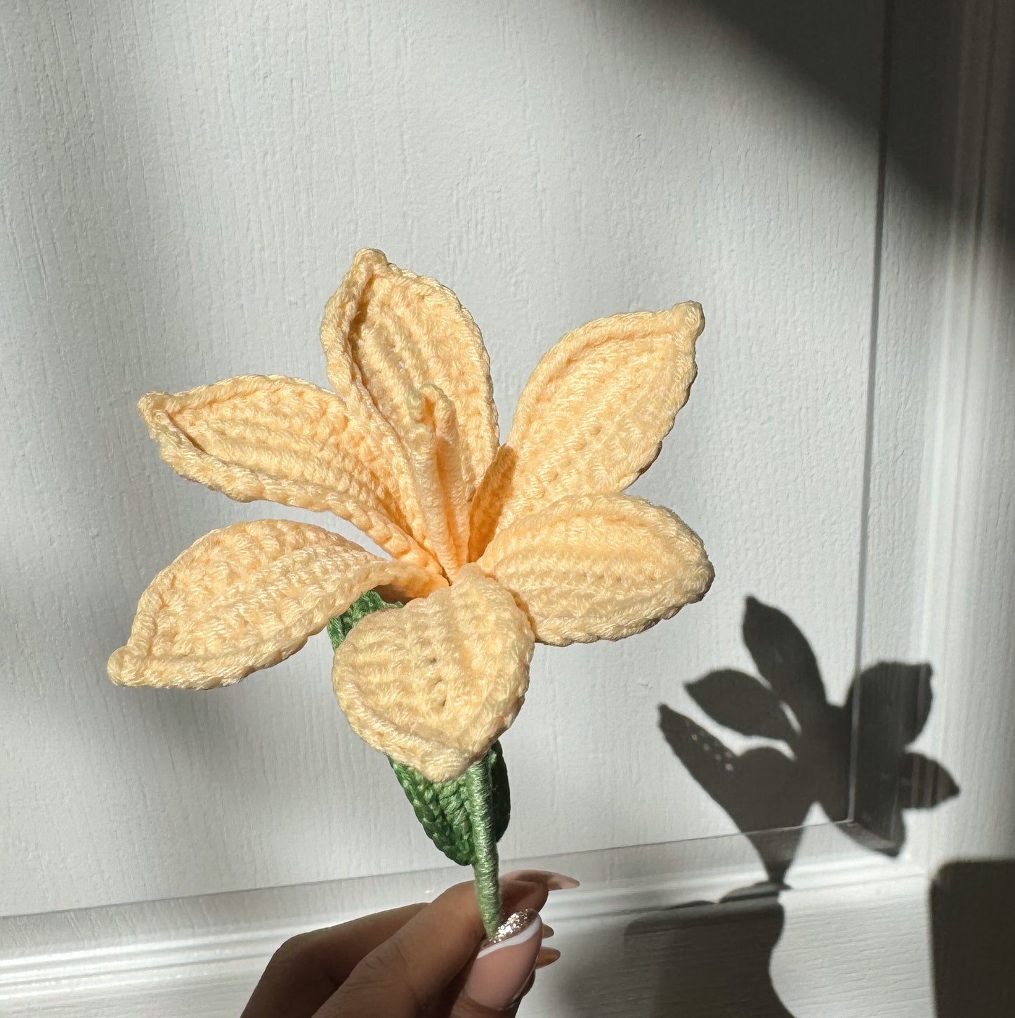 Yellow Daylily
