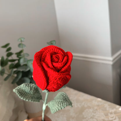 Large Red Rose