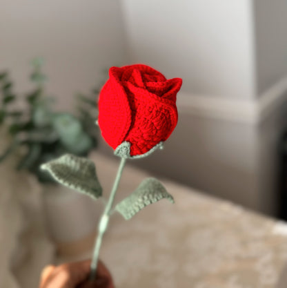 Large Red Rose