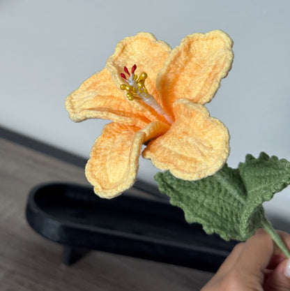 Light Yellow Hibiscus