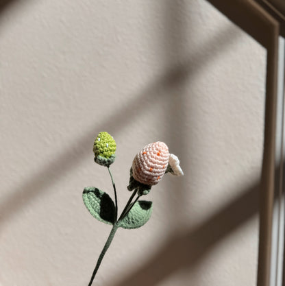 CREAM STRAWBERRY BRANCH