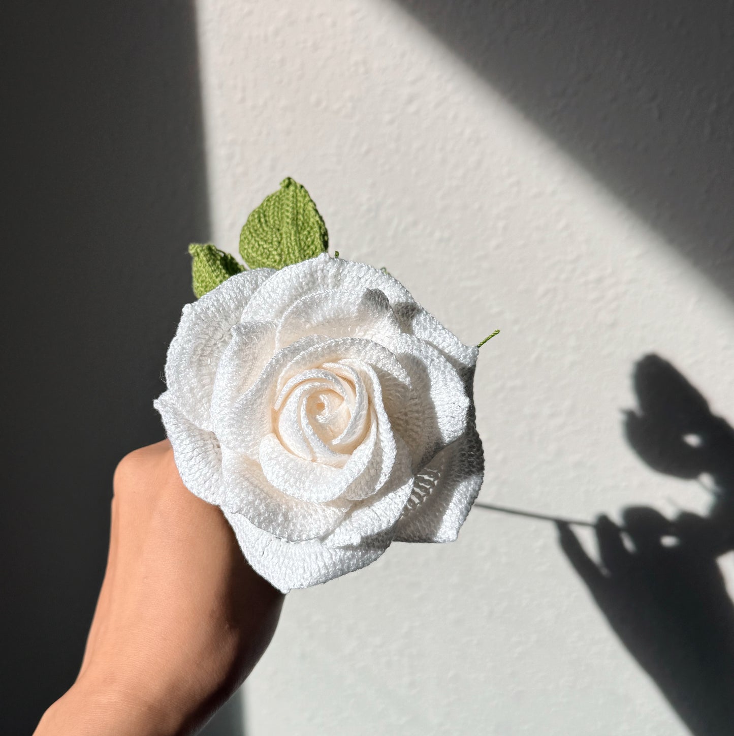 Detailed White Rose