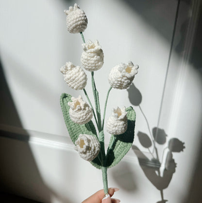White Canterbury Bell