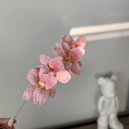 Pink Orchid