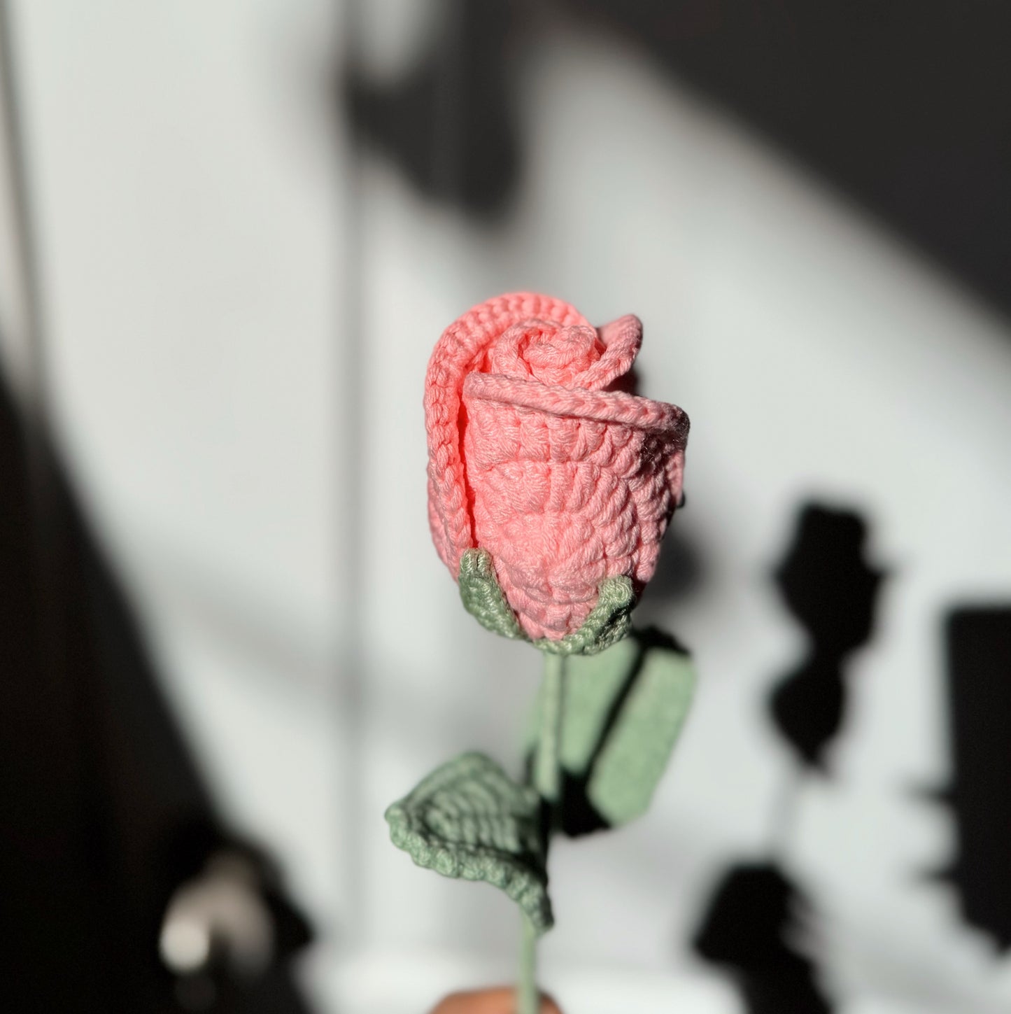 Pink Rose