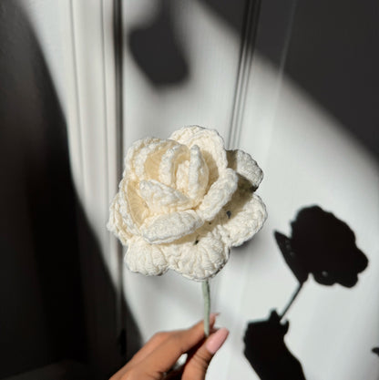 WHITE ROSE