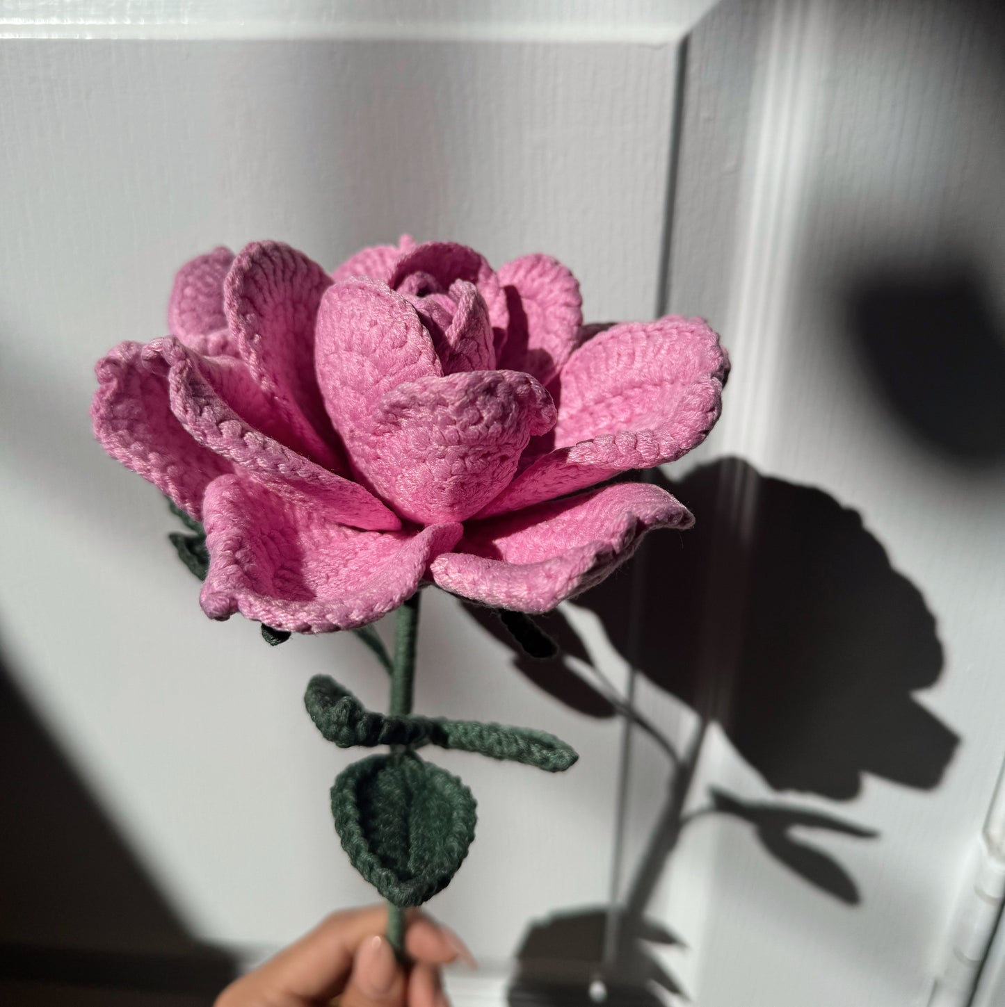 XL Pink Rose
