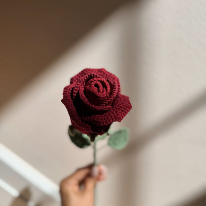 RED WINE ROSE